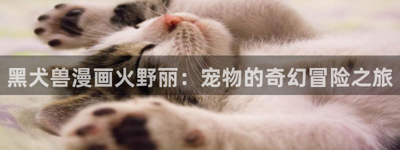 韩漫怎么看免费漫画入口