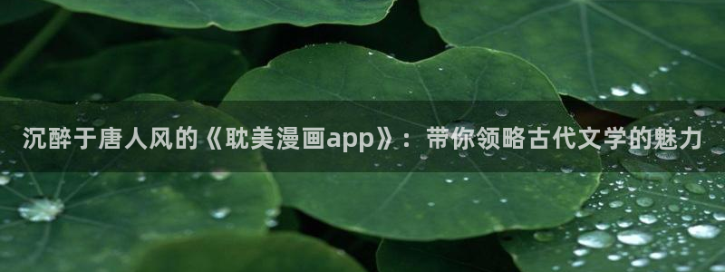 韩漫无删减免费在线网站：沉醉于唐人风的《耽美漫画app》：带你领略古代文学的魅力
