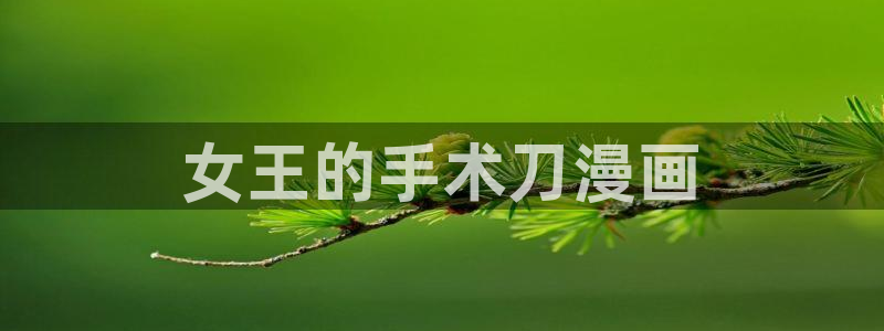 免费看韩漫下拉式：女王的手术刀漫画