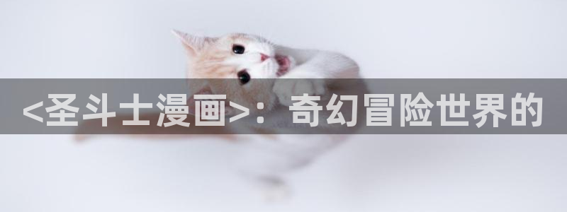 韩漫污漫画在线观看：<圣斗士漫画>：奇幻冒险世界的