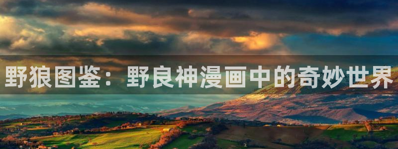 哪里可以看韩漫免费漫画软件