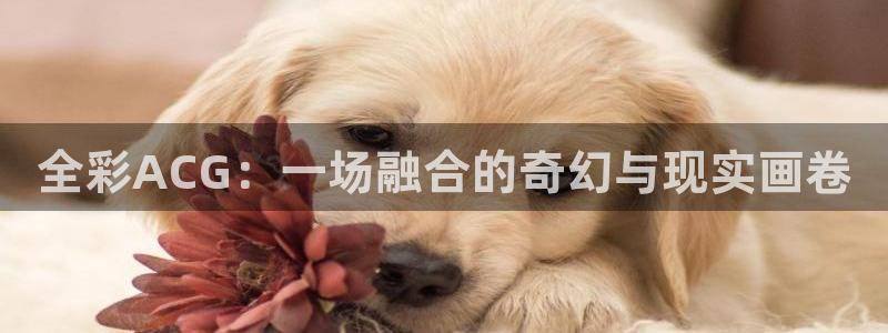 蛙漫韩漫官网入口：全彩ACG：一场融合的奇幻与现实画卷