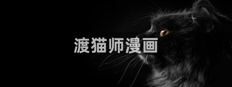 韩漫观看全集免费：渡猫师漫画